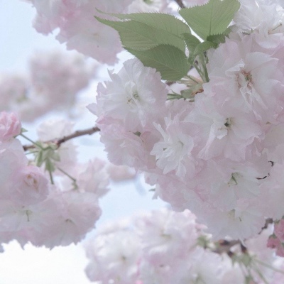 章贡FurryQQ群介绍