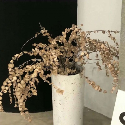 罗甸FurryQQ群介绍